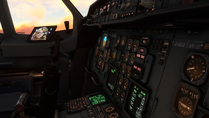 Microsoft Flight Simulator Screenshot 2024.07.21 - 18.20.40.97