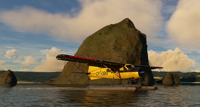 Microsoft Flight Simulator 2_22_2023 11_23_22 PM
