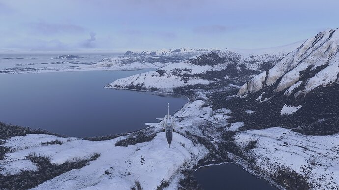 MicrosoftFlightSimulator2024_20260111145055_.jpg.ad0cd61cb3913efc971640dc95c70fd3