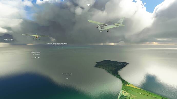 Microsoft Flight Simulator 8_2_2021 11_57_49 AM