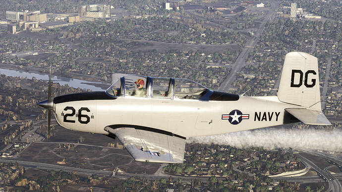 Microsoft Flight Simulator 2024-2026_01_14-18-02-33