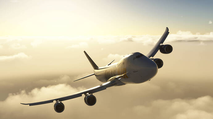 FlightSimulator2024 2025-11-23 17-35-51_487