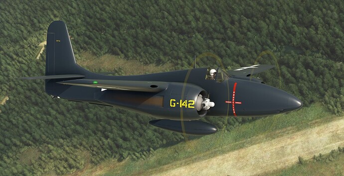 Microsoft Flight Simulator 8_22_2023 4_55_04 PM