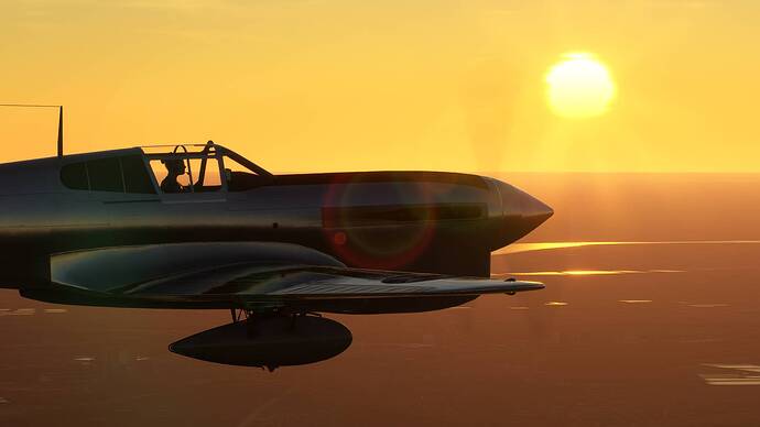 Microsoft Flight Simulator Screenshot 2026.01.30 - 20.18.32.07