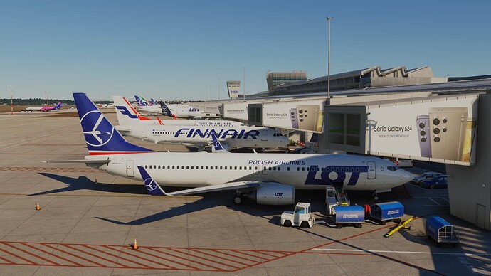 Microsoft Flight Simulator 10_09_2024 01_45_38