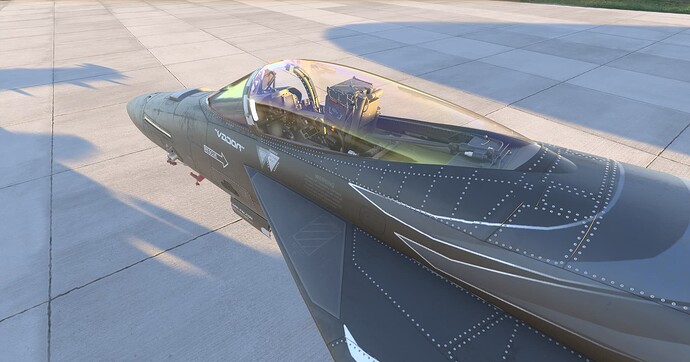 Microsoft Flight Simulator 2024-2025_06_01-09-55-07 1