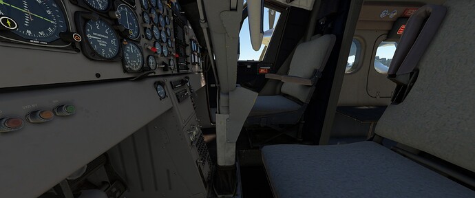 Microsoft Flight Simulator 4_20_2026 4_55_03 PM