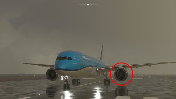 B787-rain-flag