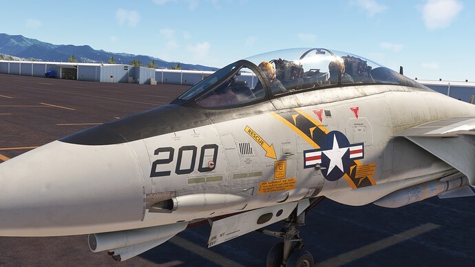 Microsoft Flight Simulator 12_7_2023 3_18_33 PM