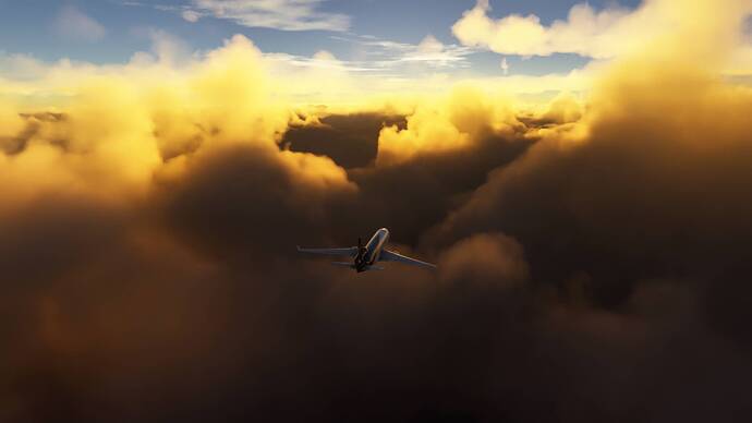 FlightSimulator2024 2026-01-23 20-08-10_186