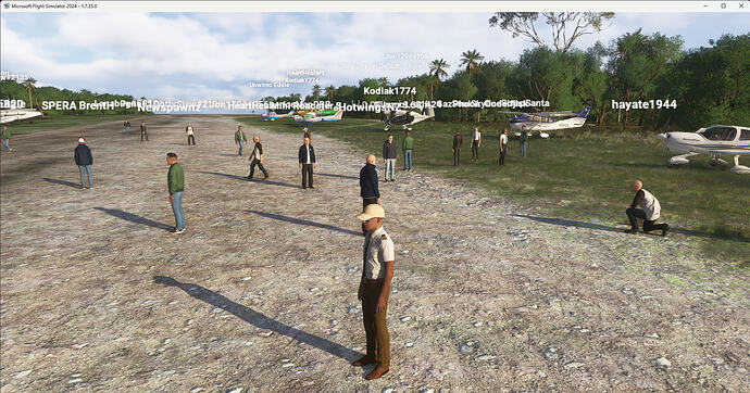 Microsoft Flight Simulator 2024 10-Jul-26 20_59_39
