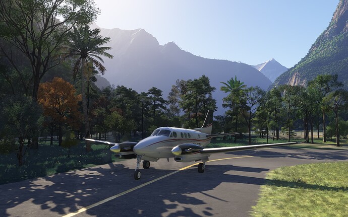 Microsoft Flight Simulator 2024 24-1-2025 21_41_28