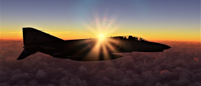 Microsoft Flight Simulator (423)