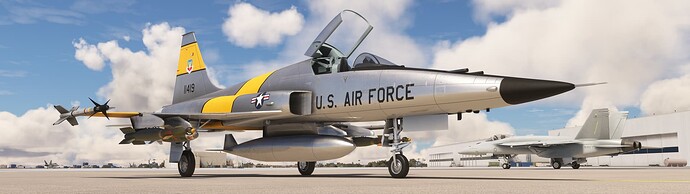 Microsoft Flight Simulator 3_23_2024 12_45_37 PM