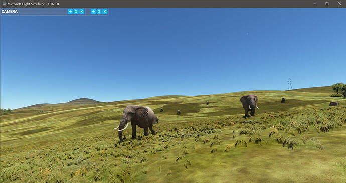 Dessie Zuriah Elephants
