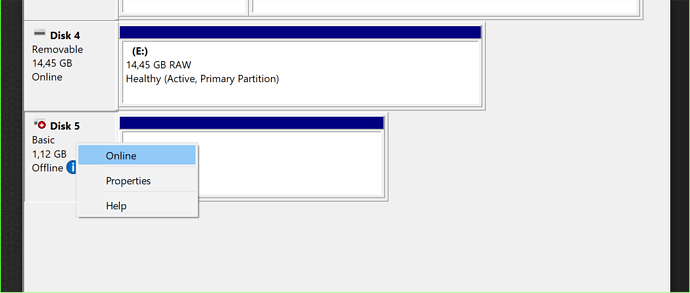 Temporary visible Disk needs to be set to online