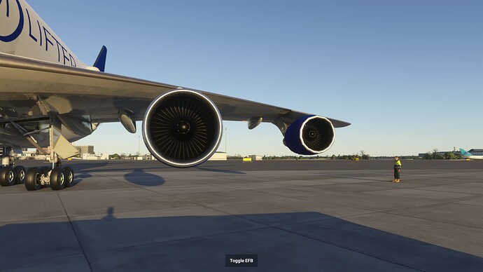 Microsoft Flight Simulator 2024 23_11_2024 11_51_41