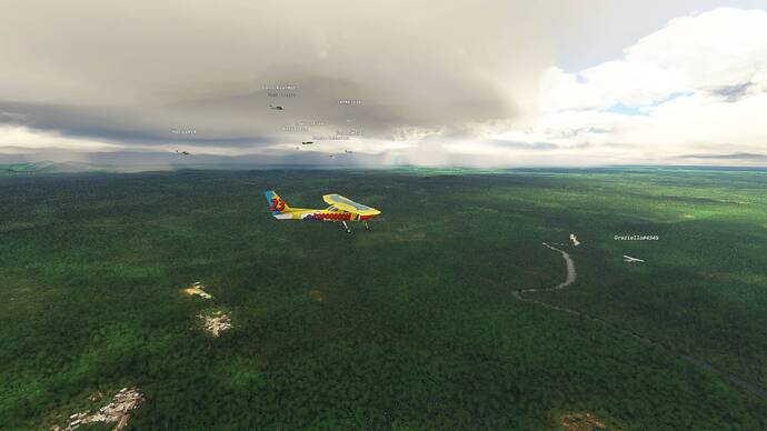 Microsoft Flight Simulator 8_2_2021 1_31_49 PM