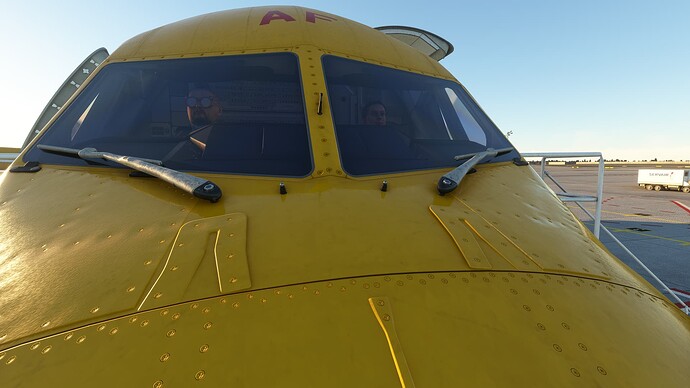 Microsoft Flight Simulator Screenshot 2023.12.28 - 21.56.35.71