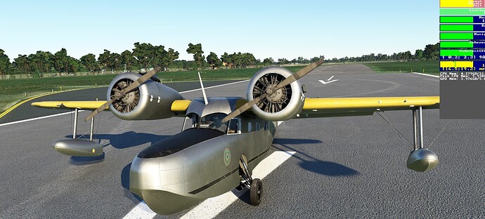 goose2