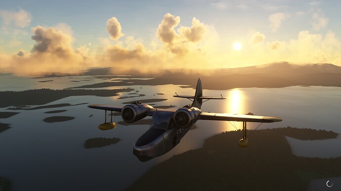 Microsoft_Flight_Simulator_2022_01_17_6_15_23_PM