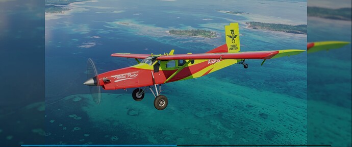 Microsoft Flight Simulator 1_31_2022 5_20_29 PM