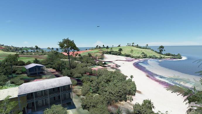 Microsoft Flight Simulator 5_31_2021 12_06_38 PM