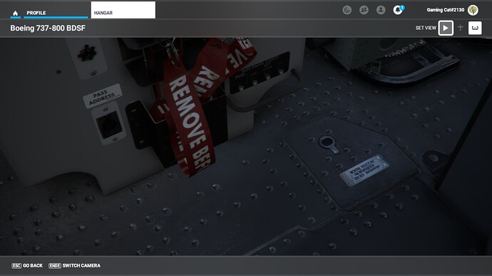 Microsoft Flight Simulator - 1.27.21.0 10_17_2022 6_29_31 PM