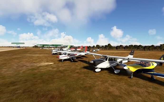 Microsoft Flight Simulator 24_06_2022 10_46_46 p.m.