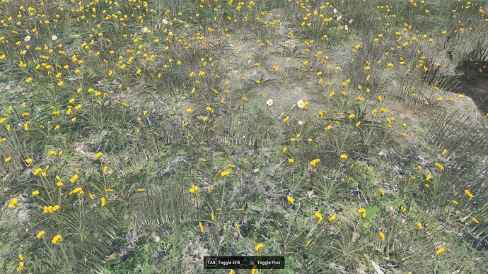 Flora Daisies & Dandelions at airports 2