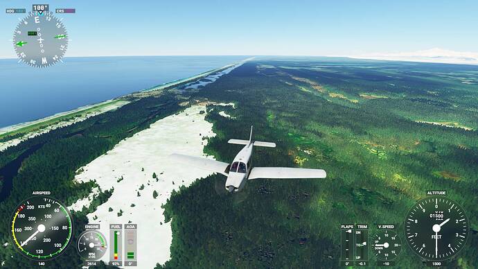 Microsoft Flight Simulator 6_14_2021 12_23_36 PM