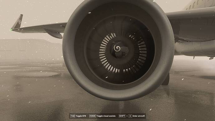 Microsoft Flight Simulator 2024_2026.02.23-22.07
