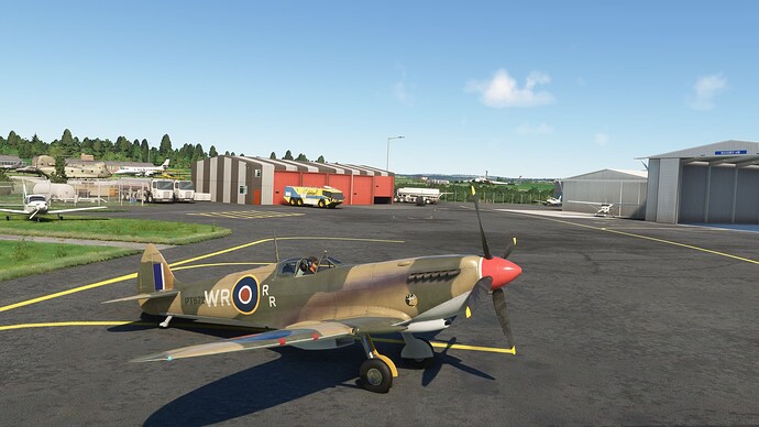 Microsoft Flight Simulator-2025_06_29-15-35-51