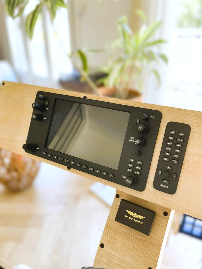 G1000 & AutoPilot avionics module