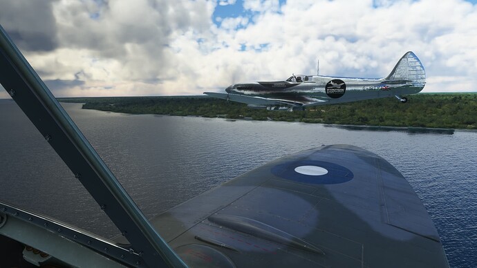 Microsoft Flight Simulator Screenshot 2022.03.05 - 22.32.03.26 (2)