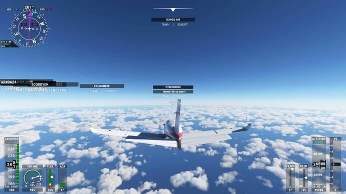 Microsoft Flight Simulator 08.08.2021 21_23_50_Bildgröße ändern