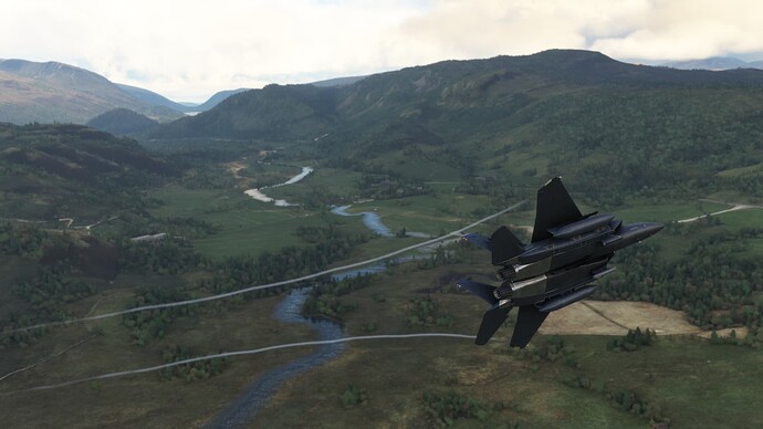 Microsoft Flight Simulator-2024_08_04-18-42-16