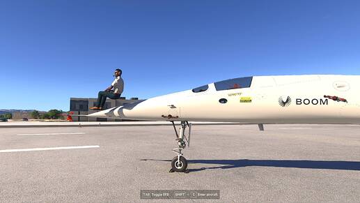 Microsoft Flight Simulator 2024 12_09_25 11_37_41