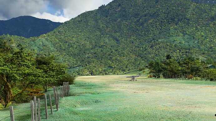 FS2020 2023-06-03 026