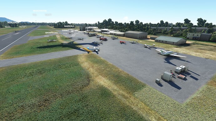 Microsoft Flight Simulator 12_23_2021 1_41_44 PM