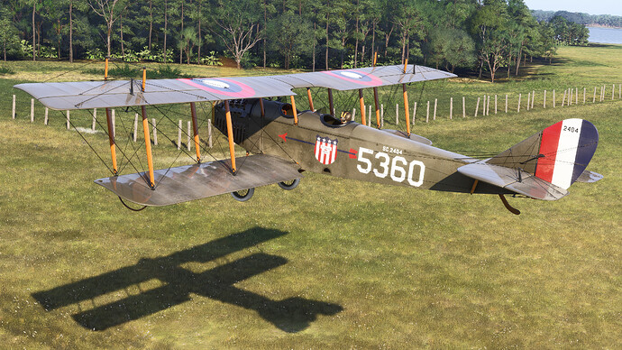 55071464486_4f0d9da83f_4k