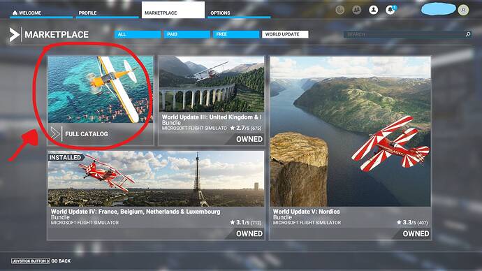Microsoft Flight Simulator Screenshot 2021.08.08 - 11.01.12.25_LI