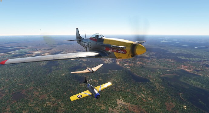 Microsoft Flight Simulator Screenshot 2024.07.19 - 01.49.26.80