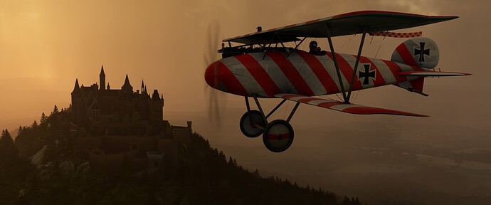 Flugzeugwerke Albatros DIII_04