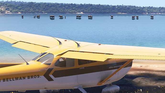 Microsoft Flight Simulator 2024 Screenshot 2025.02.11 - 14.24.33.87