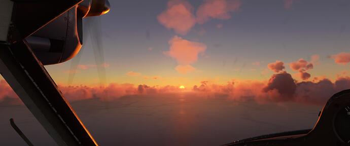 Microsoft Flight Simulator 1_4_2022 10_06_30 PM