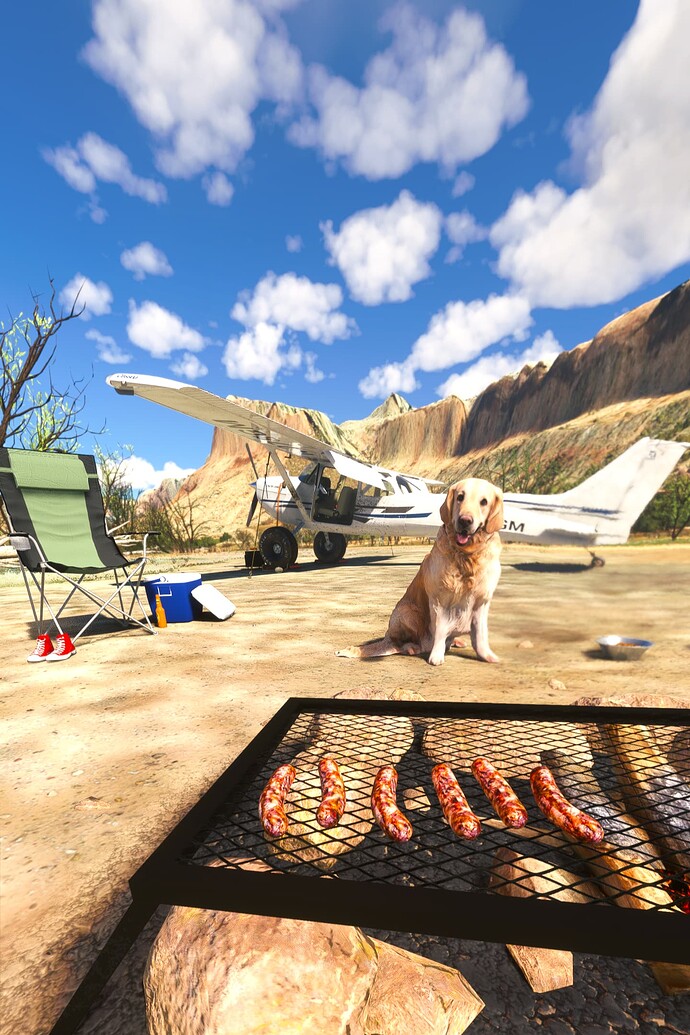 Microsoft Flight Simulator Screenshot 2024.05.18 - 19.22.10.91