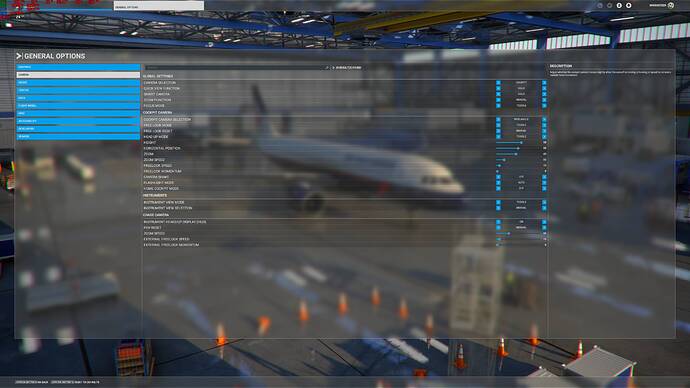 Microsoft Flight Simulator 02_09_2021 16_58_42