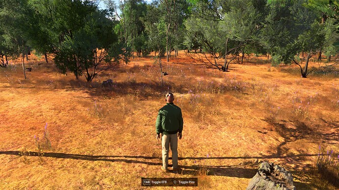 Cape Verde Islands Leg 1 - Esperadinha (BVR) to Maio (GVMA) 14