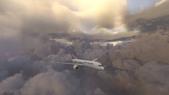 d4b22eec-f4f8-4bf7-aee9-b2318f8bfa51 (1)